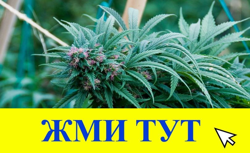 Купить наркотики в Минусинске